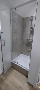 La salle de bains est pourvue d'une douche avec une porte en verre. dans l'établissement Le 43, Gîte rural dans la vallée de la Sambre., à Merbes-le-Château