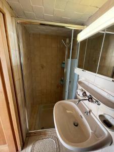 a bathroom with a sink and a shower at Chalet le Domino - Proche des pistes et des bains in Ovronnaz