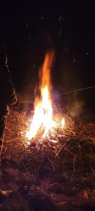 Gallery image of RUDY RYDZ in Ropienka +9 photos