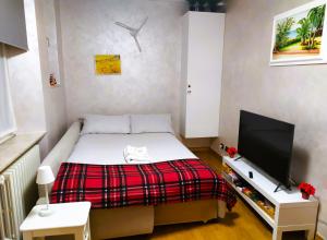 L'ibiscus e il mare في بيرغامو: غرفة نوم صغيرة بها سرير وتلفزيون بشاشة مسطحة