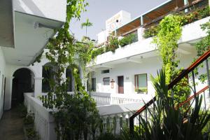 a courtyard of a white building with plants at Masaya Santa Marta in Santa Marta