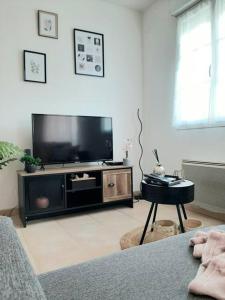 a living room with a flat screen tv and a table at Proche aéroport à pied, Le Rêve Rose. in Tillé