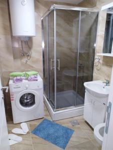 a bathroom with a washing machine and a shower at APARTMAN ANDREA in Leskovac +21 photos