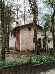une maison dans les bois avec des arbres et des plantes dans l'établissement El Búho, cabañas, camping, trailer park, à San Cristóbal de Las Casas