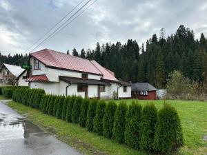 a white house with a red roof next to a hedge at Penzión Hruboš in Habovka