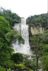 a waterfall in the middle of a forest at Hermosa casa para vacaciones en San José de Suaita in San José de Suaita