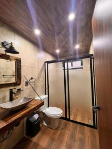 a bathroom with a shower and a toilet and a sink at Cabaña Luna Encantada in Mazamitla