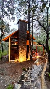 a house in the middle of a forest with trees at Cabaña Luna Encantada in Mazamitla