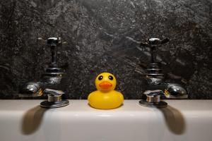 a rubber duck sitting on a sink with two faucets at The Brasenose Arms in Banbury