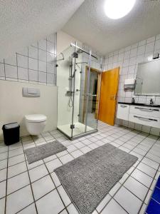 uma casa de banho com um chuveiro e um WC. em Rheinview Sunset in Urbar em Urbar