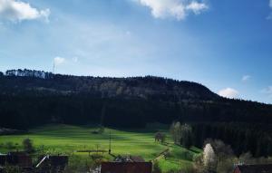 um campo verde com uma montanha ao fundo em Ferienwohnung,Unterkunft Blick Rappenstein em Hausen am Tann