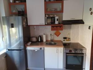 Elle comprend une petite cuisine équipée d'un réfrigérateur et d'un évier. dans l'établissement Mali Plac Apartment, à Zagreb