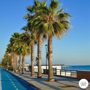 a row of palm trees on a sidewalk near the beach at Teatro Romano Centro Storico Wi-FI Centralissima in Terracina