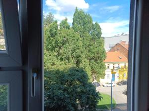 een uitzicht op een boom vanuit een raam bij Mali Plac Apartment in Zagreb