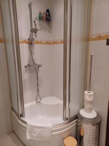 La salle de bains est pourvue d'une douche et de toilettes. dans l'établissement Mali Plac Apartment, à Zagreb