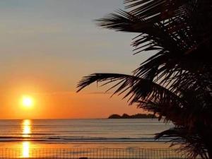 einen Sonnenuntergang am Strand mit einer Palme in der Unterkunft Pousada Casa na Ilha do Mel in Paranaguá