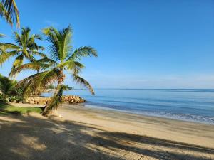 una playa con dos palmeras y el océano en Condominio Milagros Coveñas, en Coveñas