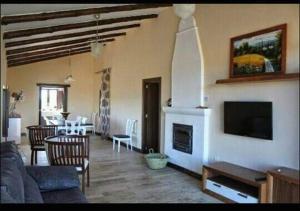 Casa Rural Huerta Los Caños في Bienvenida: غرفة معيشة مع تلفزيون ومدفأة