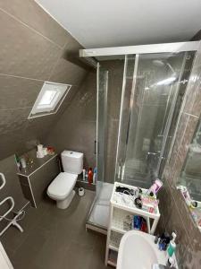 a bathroom with a shower and a toilet and a sink at Joli 2 pièces - Krutenau Austerlitz in Strasbourg