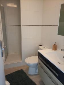 a bathroom with a toilet and a sink and a shower at Relais de Moidrey in Moidrey