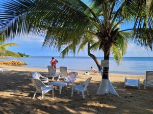 a group of chairs and a palm tree on a beach at Condominio Milagros Coveñas in Coveñas