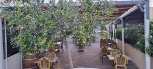 an empty patio with tables and chairs and trees at Hotel Restaurant Calypso, à 10 m de la plage in Fos-sur-Mer