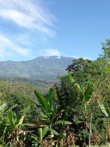 - une vue sur les montagnes depuis la forêt dans l'établissement Hotel Green Mountain, à Turrialba