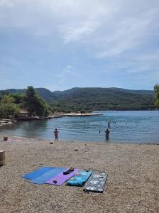 un grupo de personas en una playa cerca de un cuerpo de agua en Apartments Lotti 2 en Stari Grad