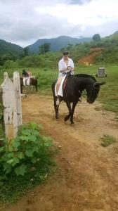 uma pessoa a montar um cavalo numa estrada de terra batida em Refugio Do Paraty Mirim em Paraty