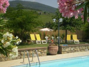 una piscina en un patio con sillas y sombrilla en Nido Del Merlo, en Santomato 