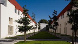 a row of buildings with trees in the courtyard at Porto Siza Apartment in Porto