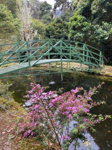 eine grüne Brücke über einen Wasserkörper mit rosa Blumen in der Unterkunft Cozy cabin with fireplace in San José