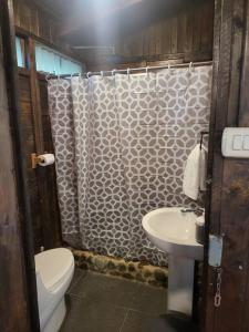a bathroom with a toilet a sink and a shower at Cozy cabin with fireplace in San José