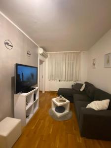 een woonkamer met een bank en een flatscreen-tv bij Affordable apartments 9 in Zagreb