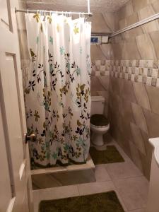 a bathroom with a shower curtain with a toilet at Mango Vert Apartment in Arima