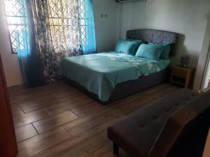 a bedroom with a bed with blue pillows at Mango Vert Apartment in Arima