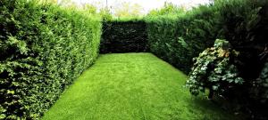 a garden with a hedge with a green lawn at Vistas Río Tormes Huerta Otea in Salamanca