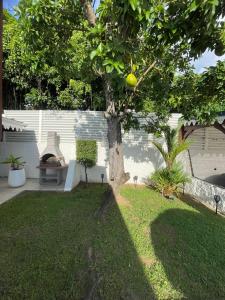 Un jardín fuera de Studio Josie