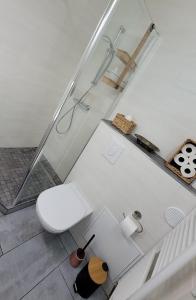 a white bathroom with a toilet and a shower at 2p lumineux au Cœur de Strasbourg in Strasbourg