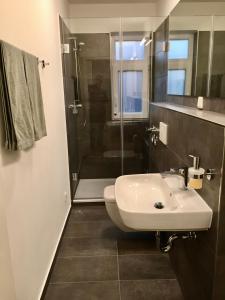 een badkamer met een wastafel en een douche bij aparthaus felizitas in Groß-Gerau