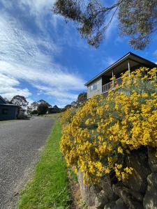 a house on the side of a road with yellow flowers at Adventist Alpine Village in Jindabyne