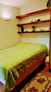 a bedroom with a green bed and a shelf at Apartamento SQN 407 in Brasilia