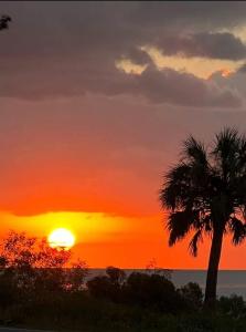 um pôr-do-sol com uma palmeira e o oceano em Bayfront, Water View, 5 min to Beach, Pet Friendly em Eastpoint