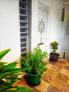 Photo de la galerie de l'établissement Le Balisier, à Saint-François 2 autres photos