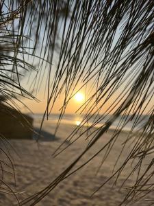 una puesta de sol en la playa a través de una palmera en AP CAMOCIM praia bangalôkite13, en Maceió