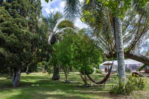 una hamaca en medio de un parque con palmeras en Posada de Campo San Cono, en Mercedes