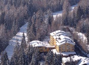 Skats uz naktsmītni Park Hotel no putna lidojuma