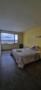 1 dormitorio con 1 cama grande y ventana grande en CASA COMPLETA 2 PLANTAS CON EXTRAORDINARIA VISTA AL CANAL BEAGLE CENTRICA 4pax en Ushuaia