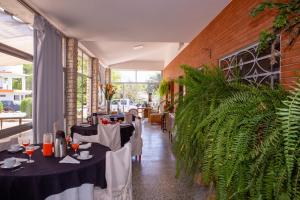 un restaurante con 2 mesas y una gran planta verde en Posada de Campo San Cono, en Mercedes