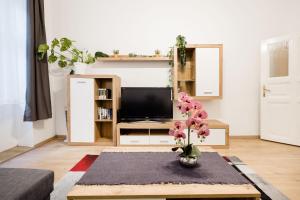 Et tv og/eller underholdning på Izabella Apartment